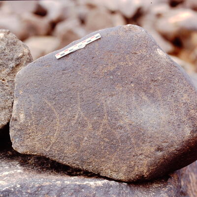inscription of siglum Is.Mu 497