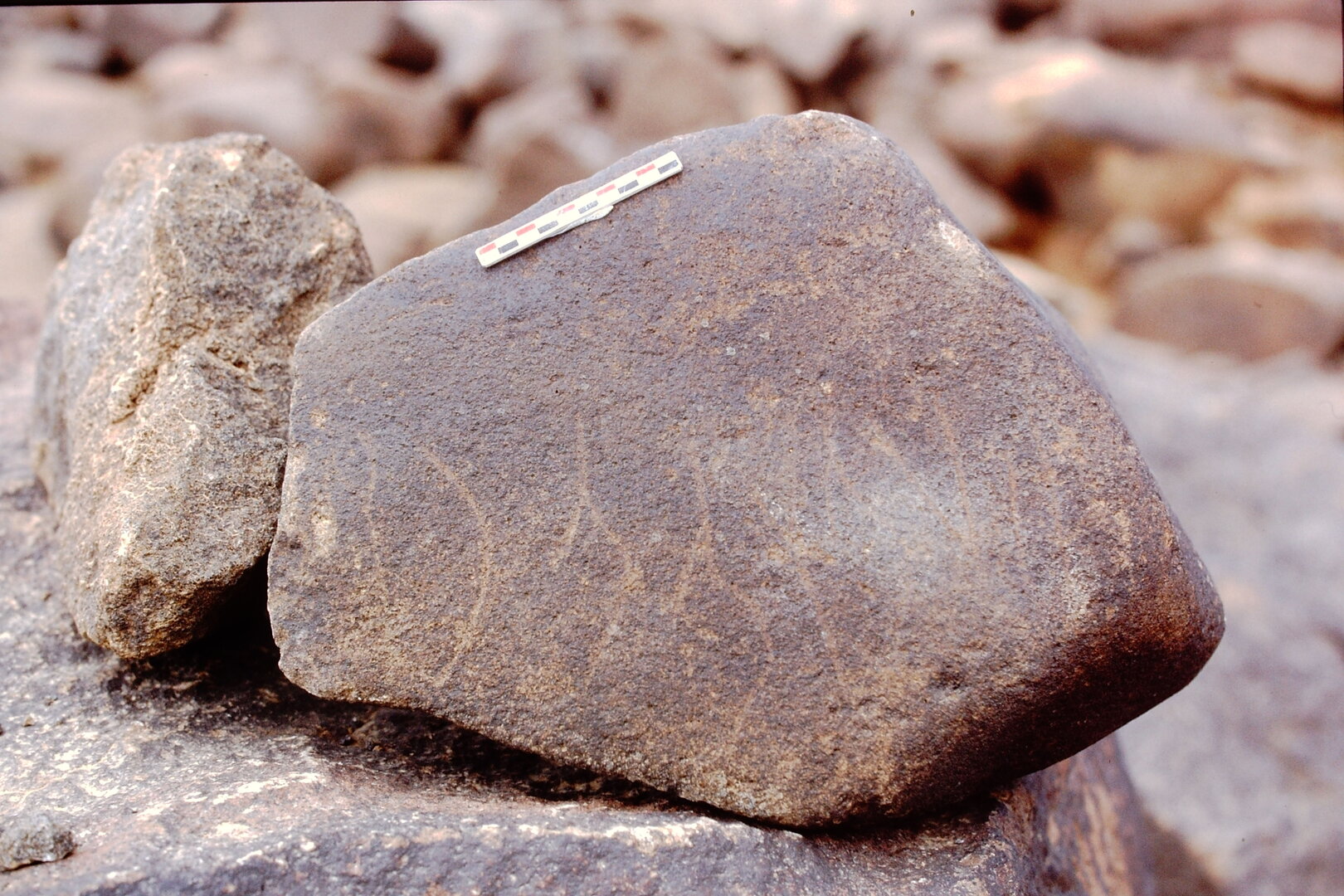 inscription of siglum Is.Mu 497