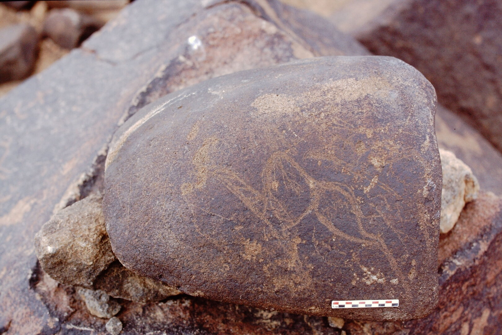 inscription of siglum Is.Mu 500