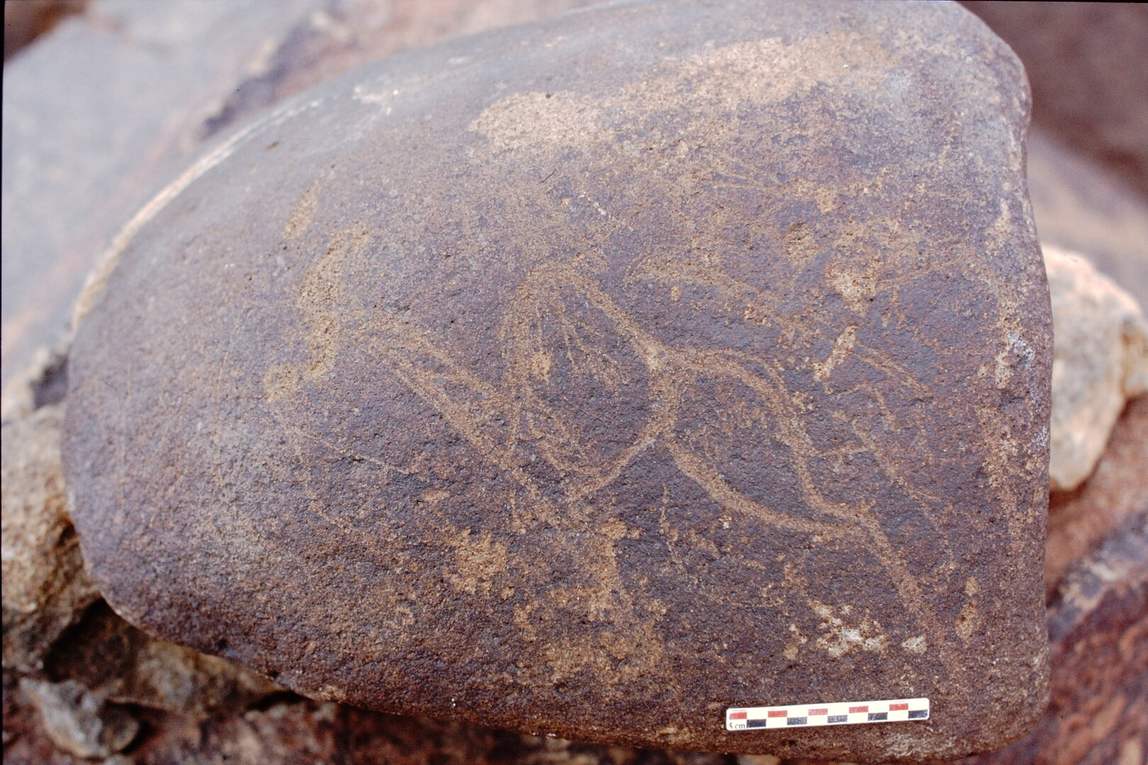 inscription of siglum Is.Mu 500