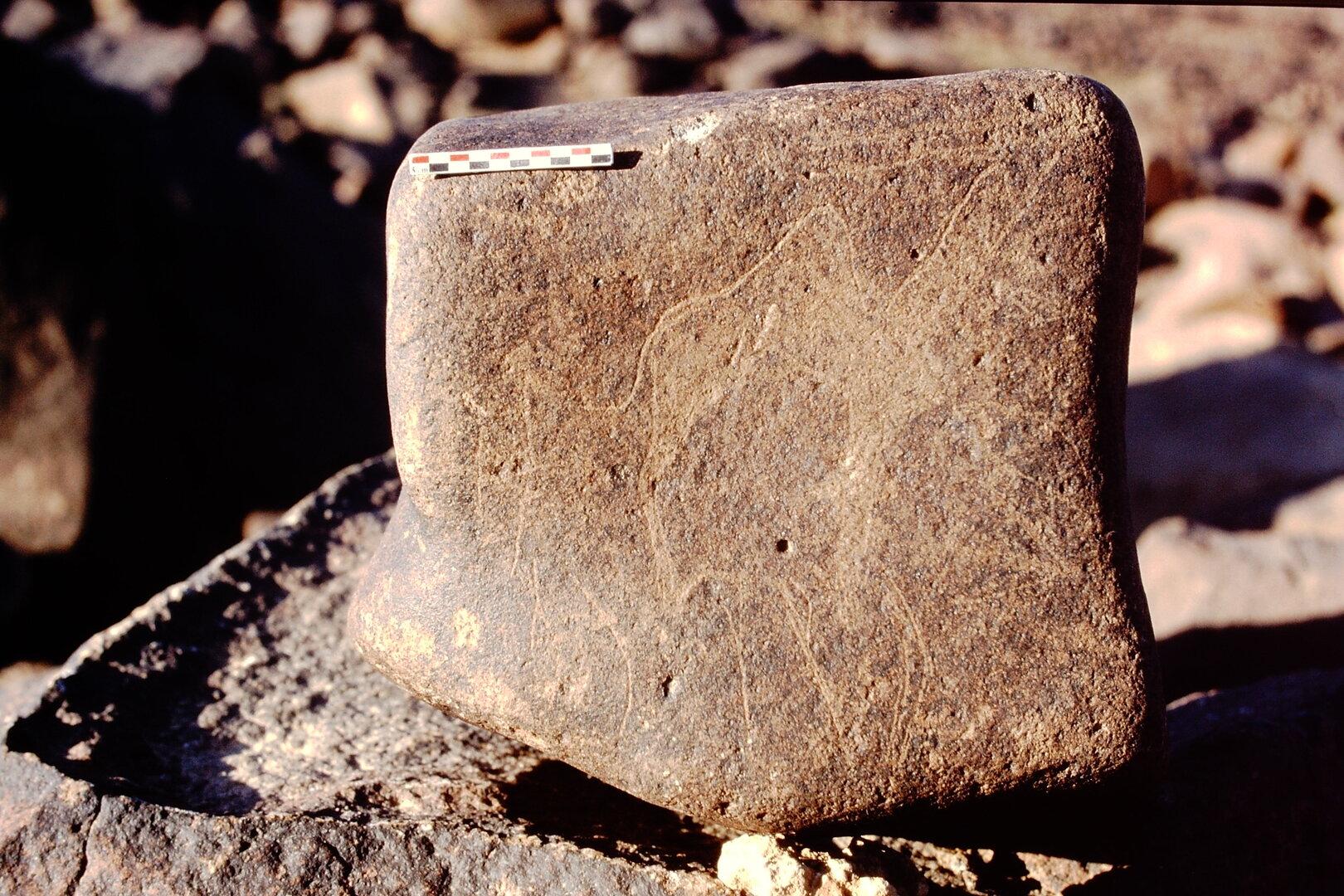 inscription of siglum Is.Mu 507
