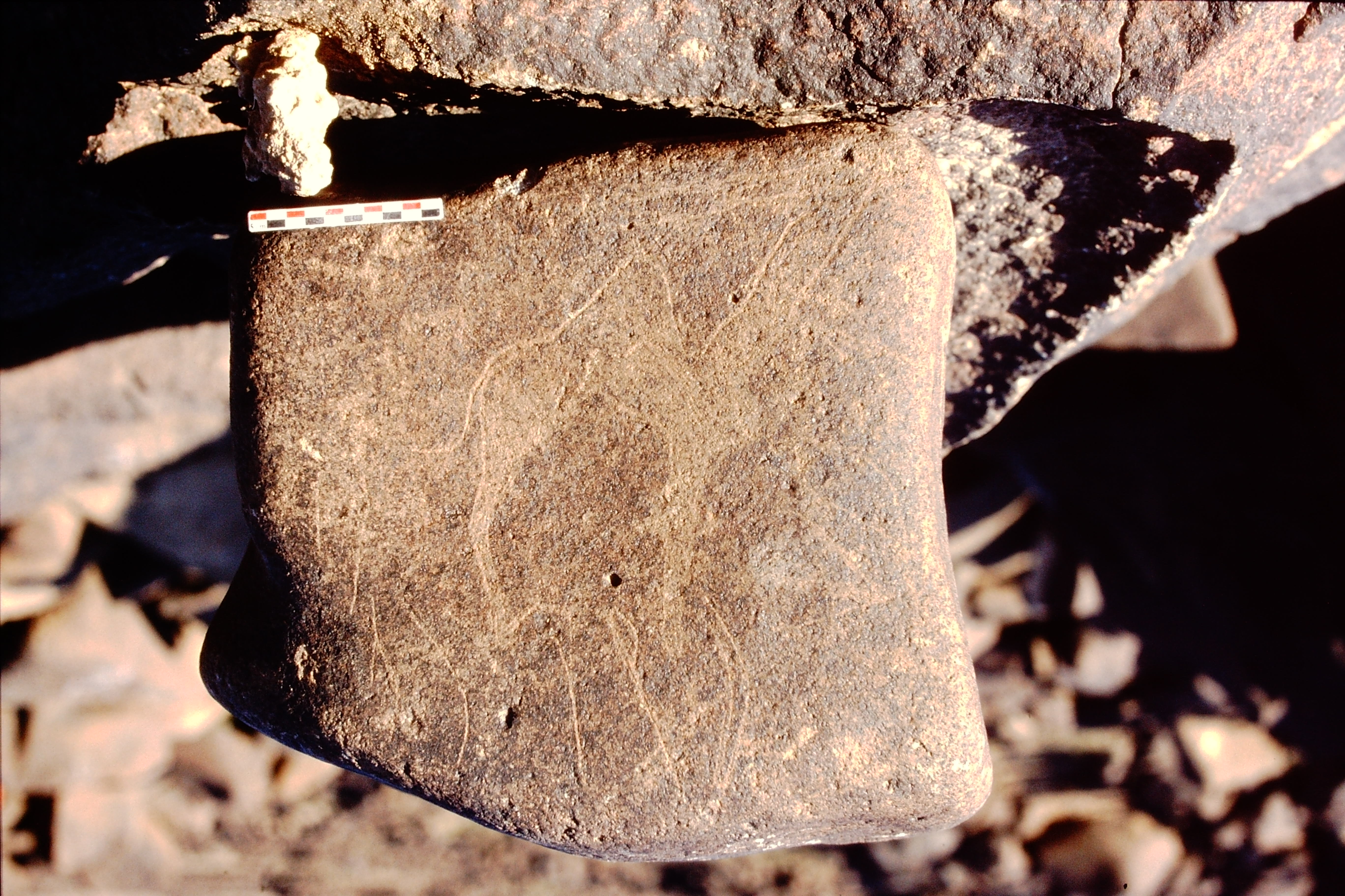 inscription of siglum Is.Mu 507