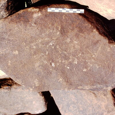 inscription of siglum Is.Mu 511