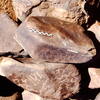 inscription of siglum Is.Mu 512