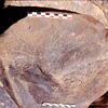 inscription of siglum Is.Mu 516