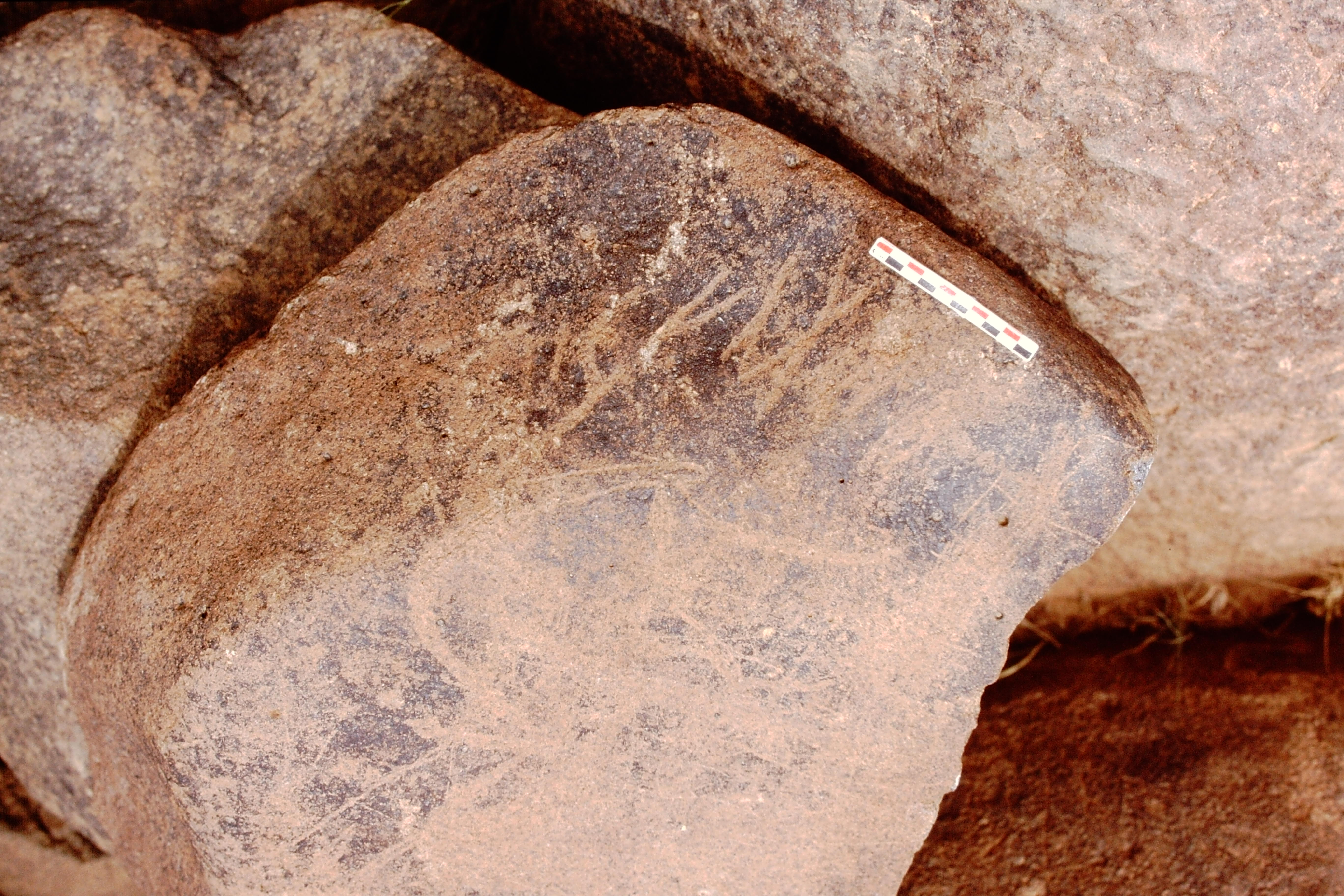 inscription of siglum Is.Mu 541