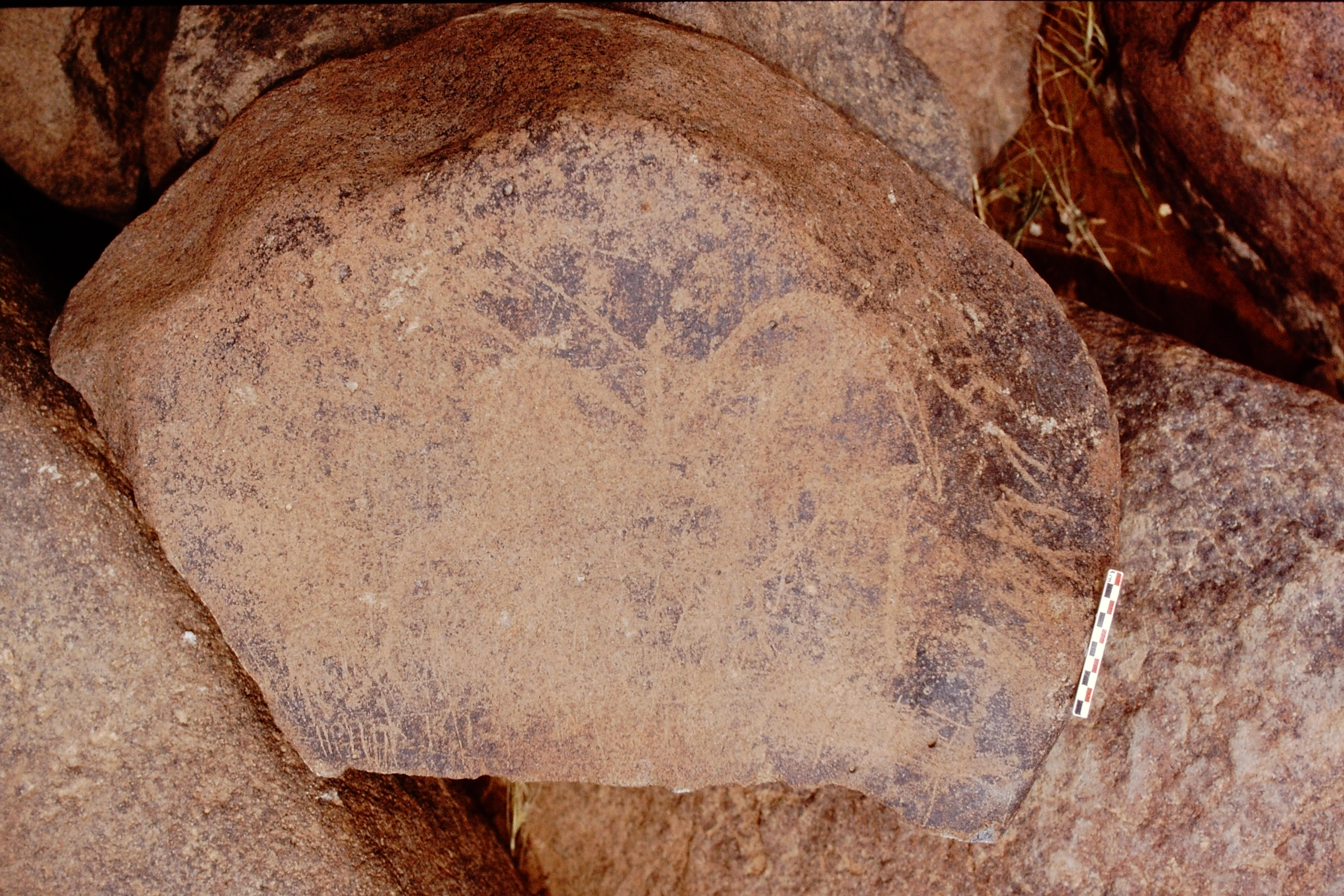 inscription of siglum Is.Mu 541