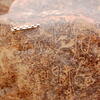 inscription of siglum Is.Mu 542