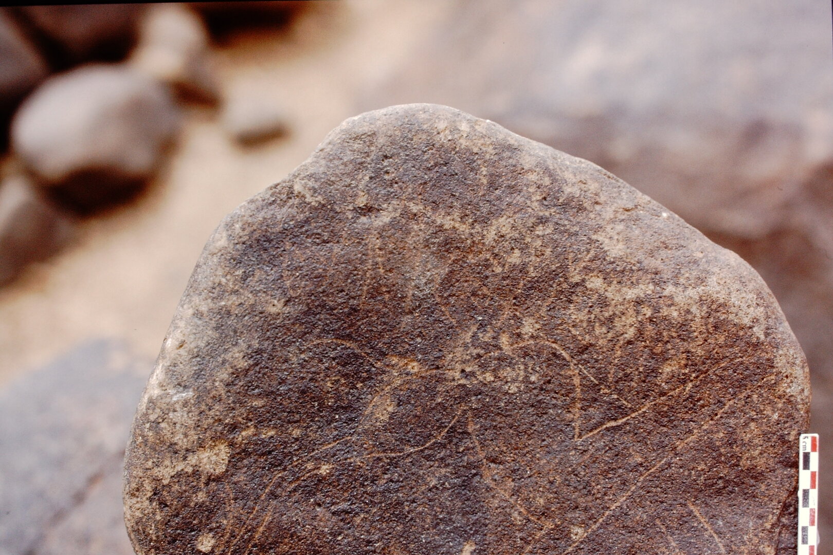 inscription of siglum Is.Mu 544