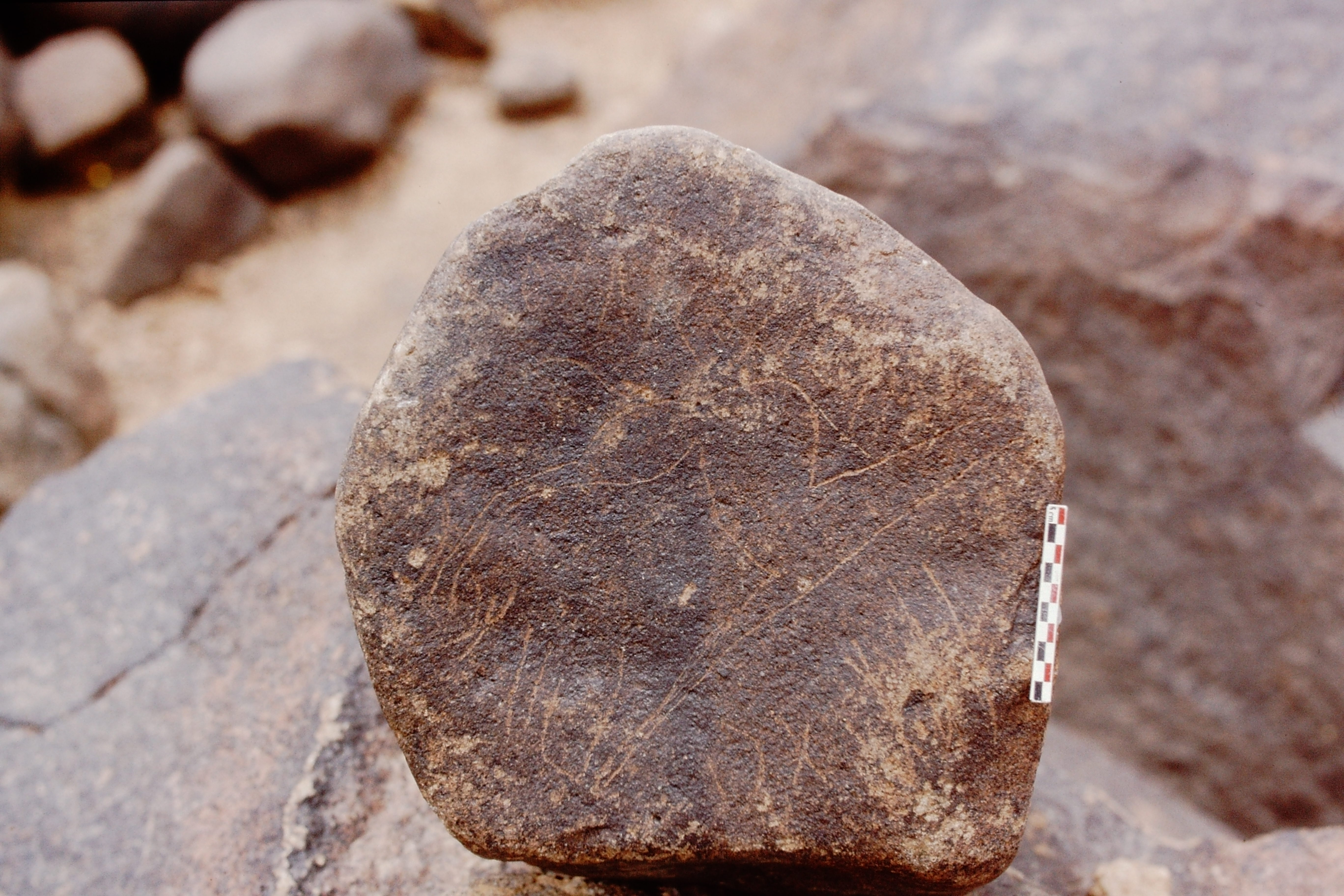 inscription of siglum Is.Mu 544