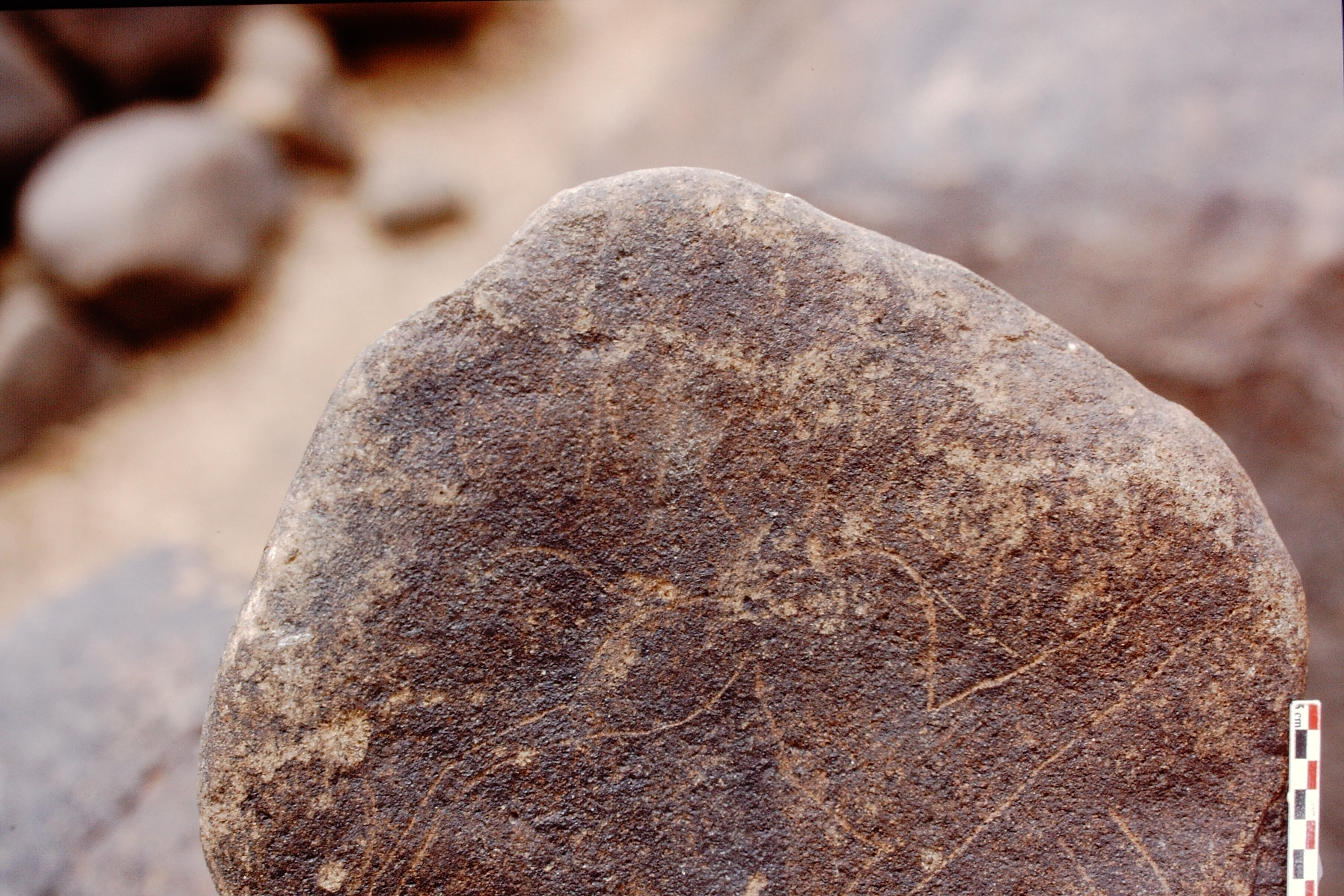 inscription of siglum Is.Mu 544