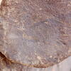 inscription of siglum Is.Mu 544