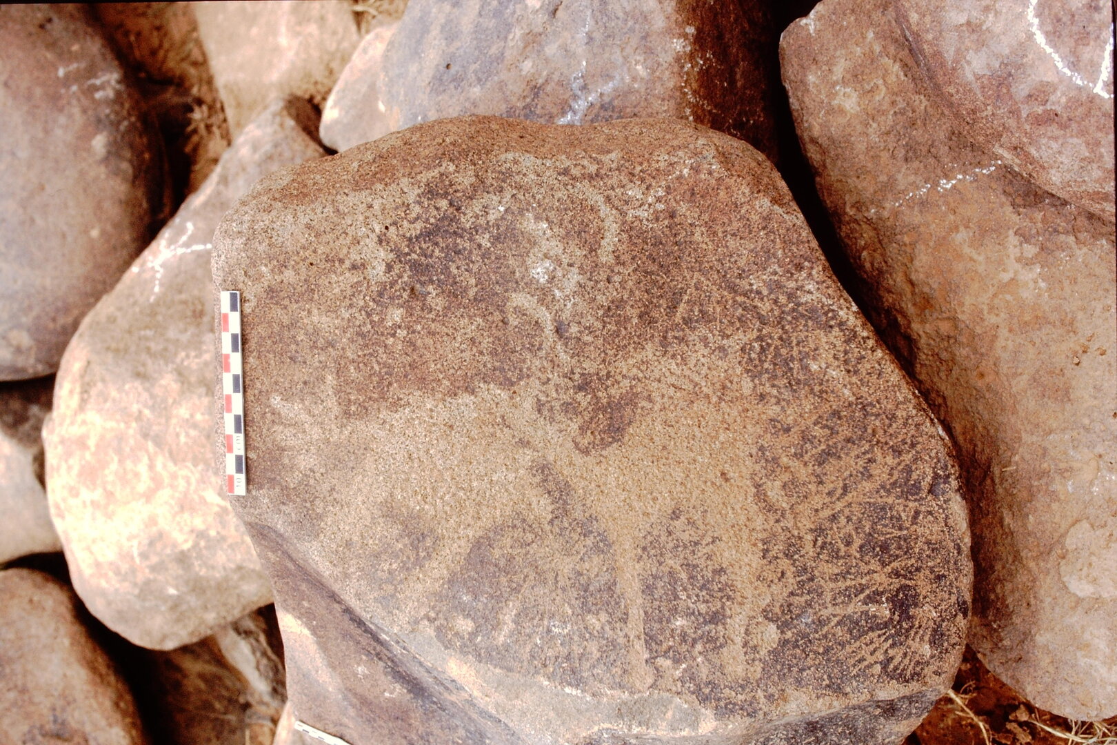 inscription of siglum Is.Mu 546