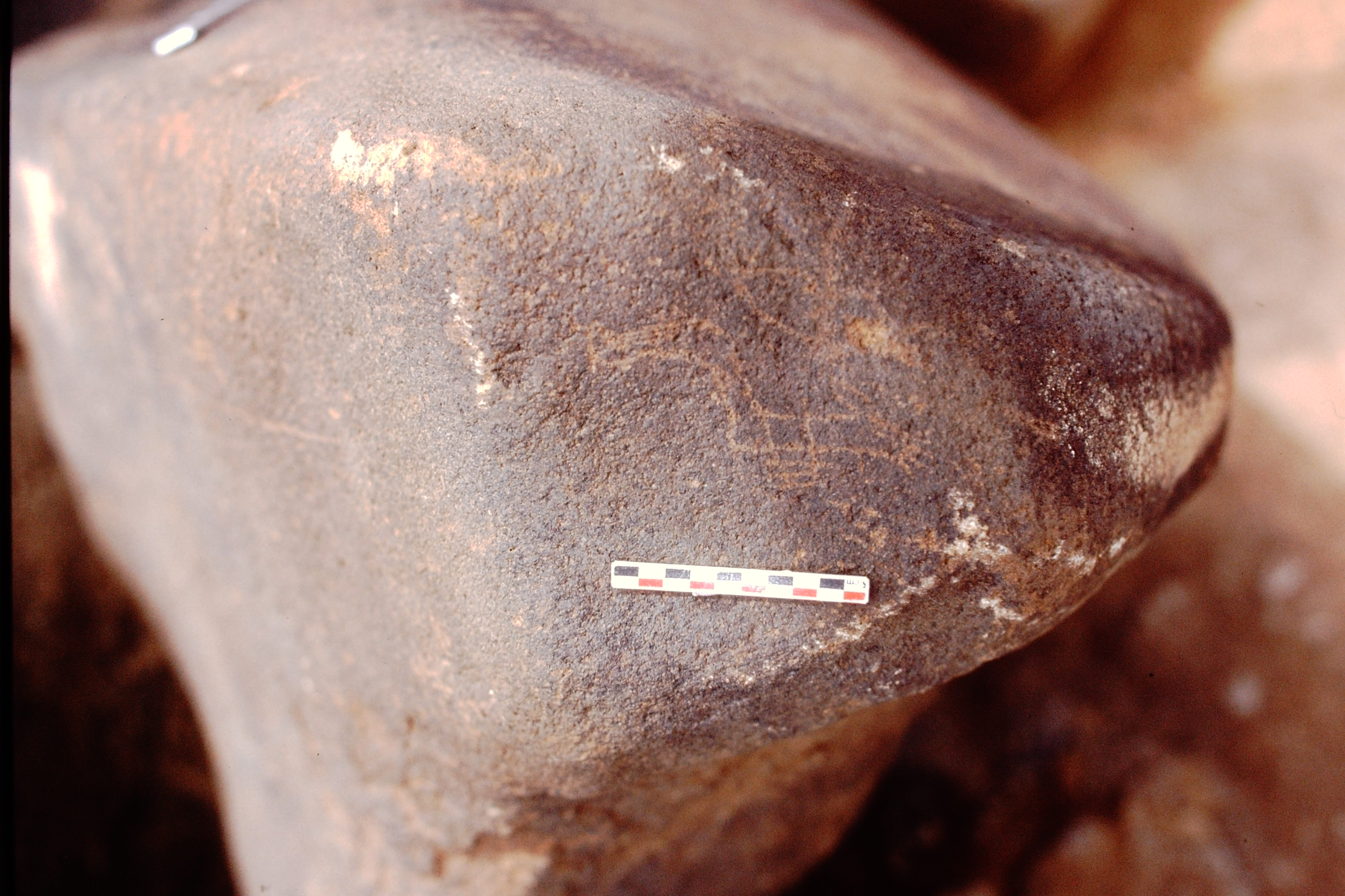 inscription of siglum Is.Mu 558