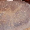 inscription of siglum Is.Mu 558