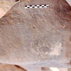 inscription of siglum Is.Mu 559