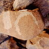 inscription of siglum Is.Mu 561