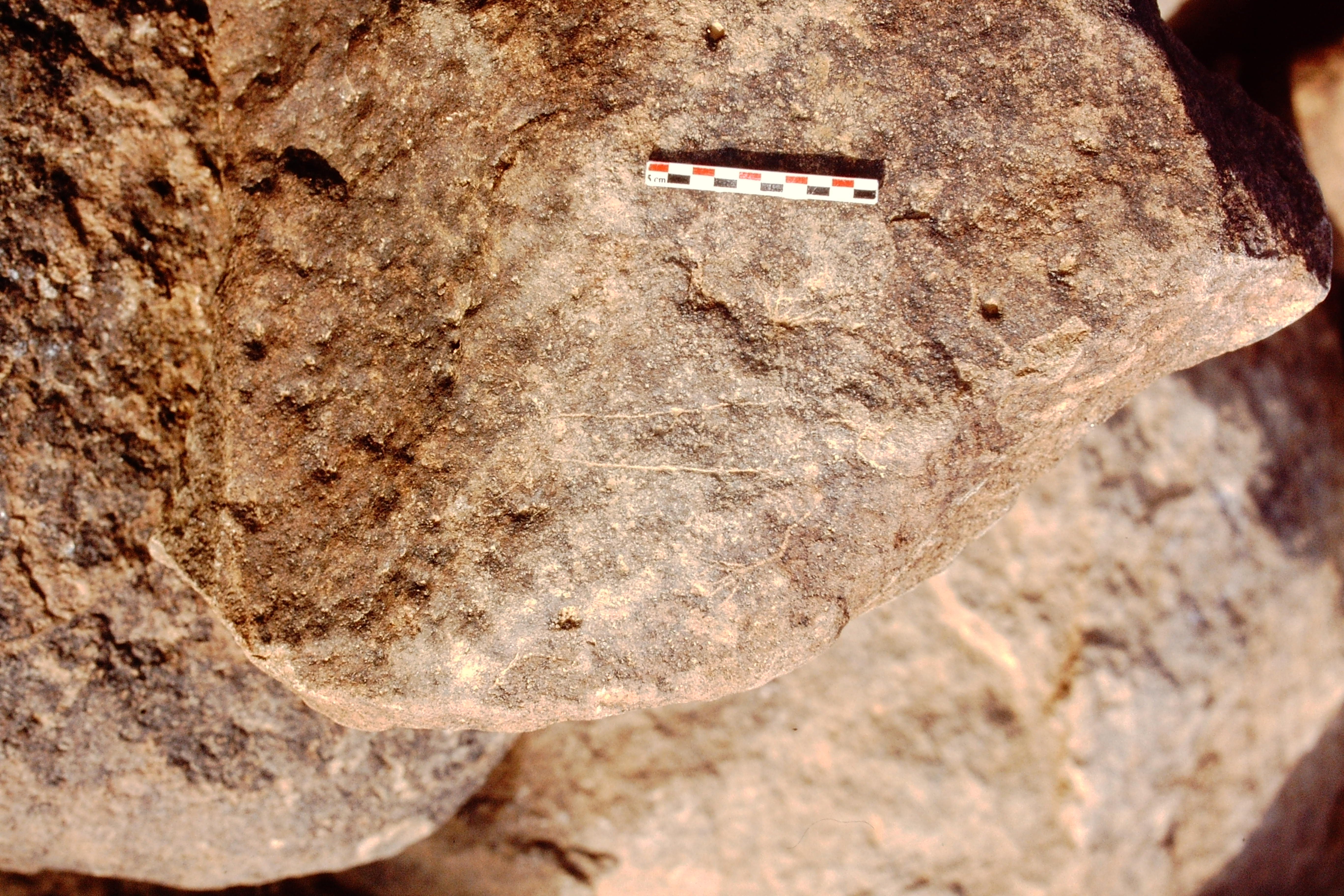 inscription of siglum Is.Mu 562