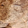 inscription of siglum Is.Mu 562
