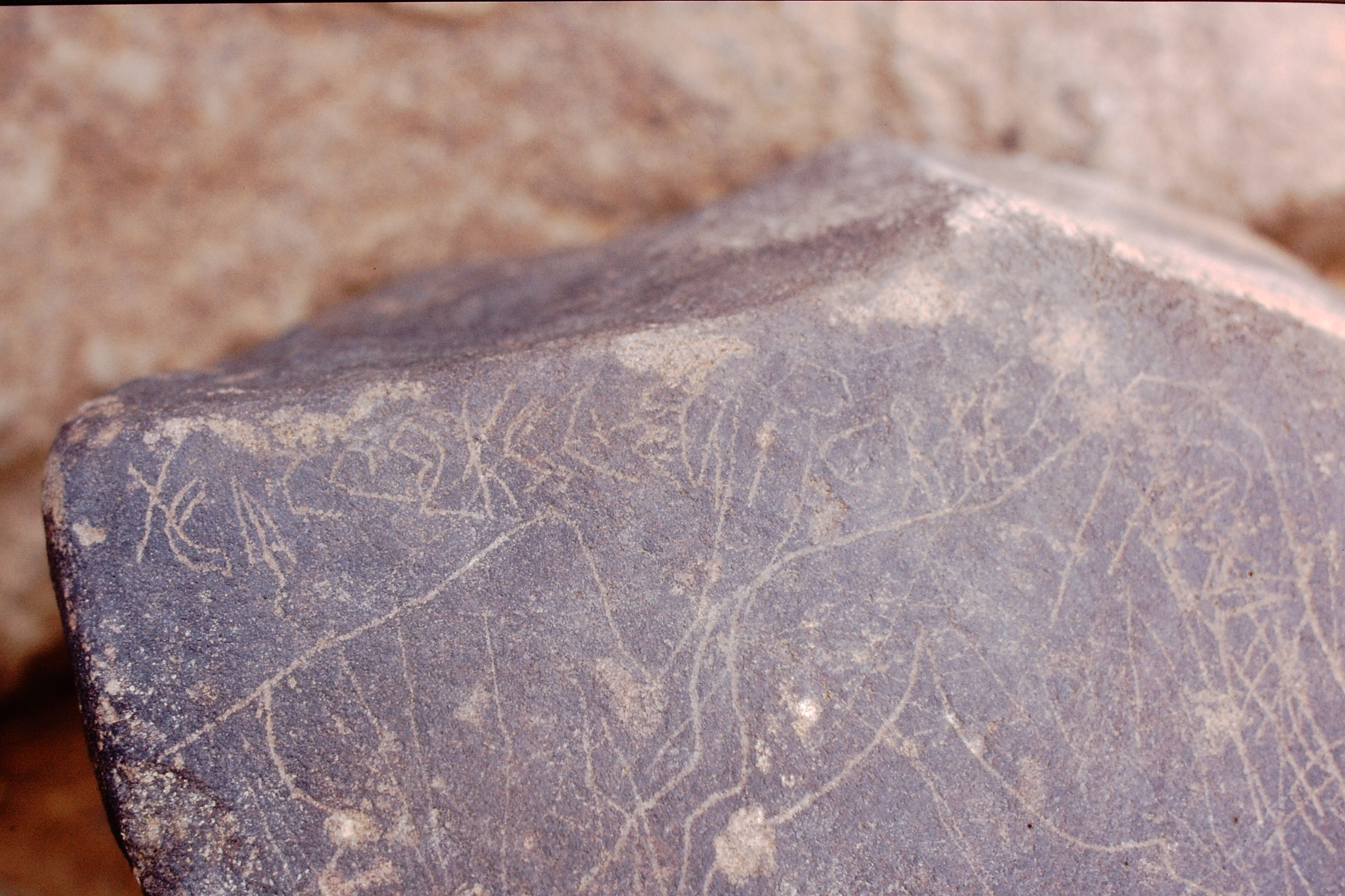 inscription of siglum Is.Mu 563