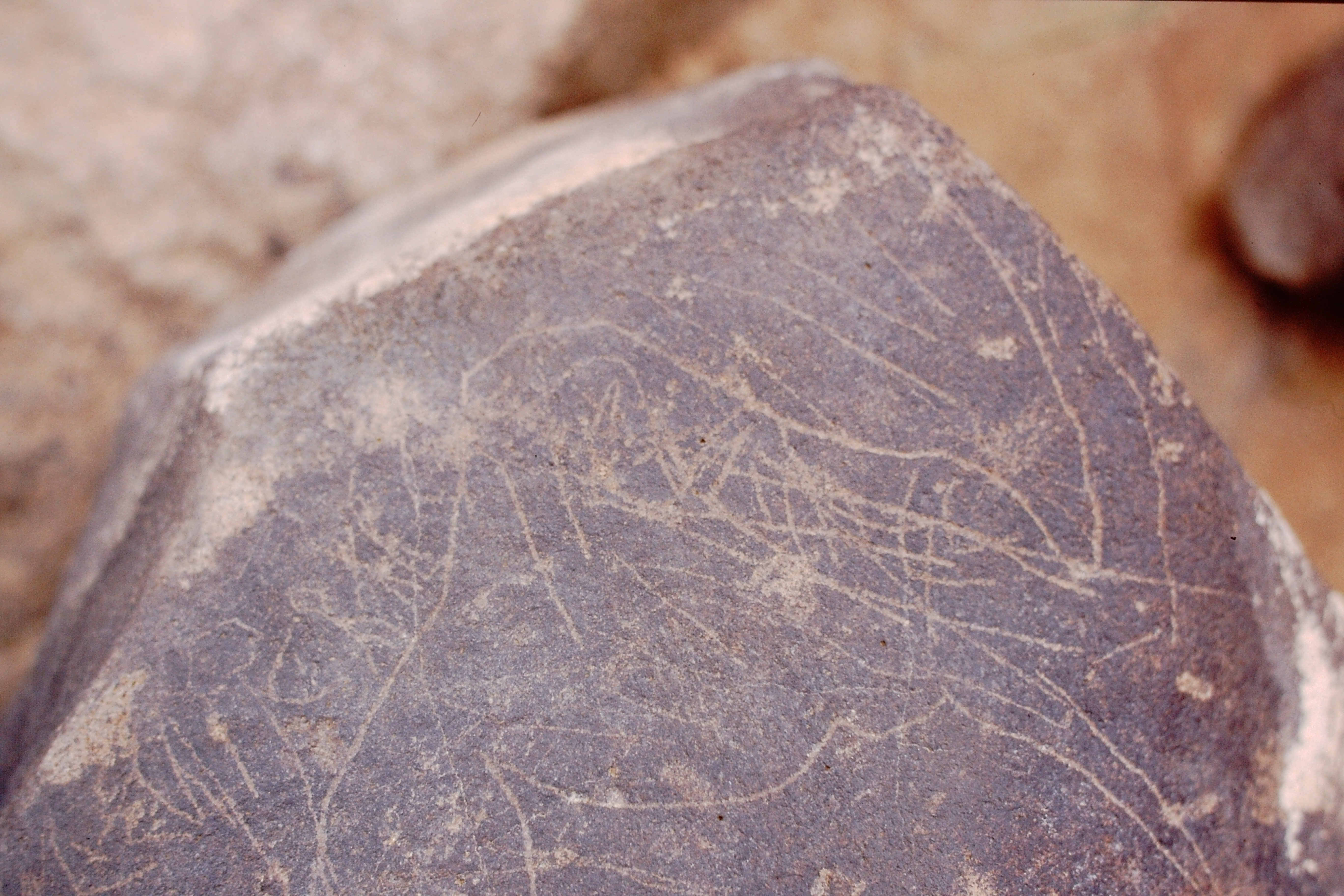 inscription of siglum Is.Mu 563