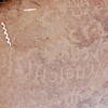 inscription of siglum Is.Mu 572