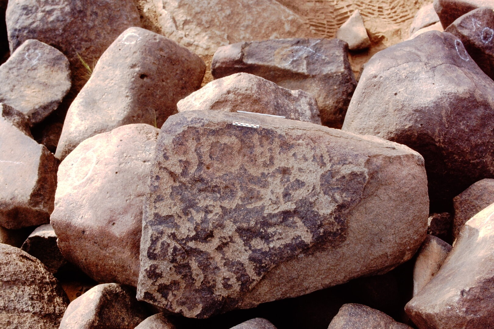 inscription of siglum Is.Mu 580