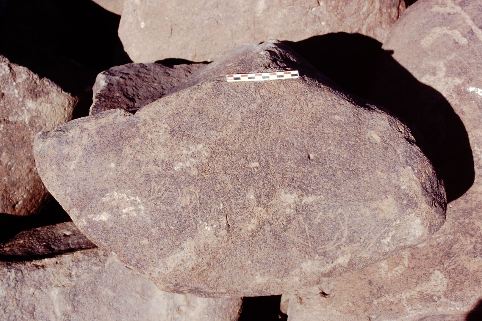 inscription of siglum Is.Mu 591