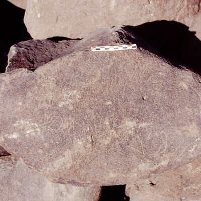 inscription of siglum Is.Mu 592