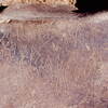 inscription of siglum Is.Mu 594