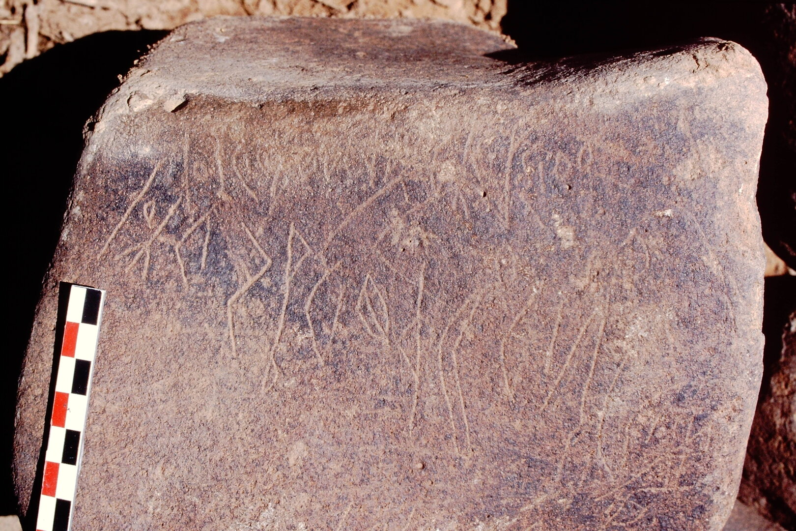 inscription of siglum Is.Mu 595