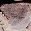 inscription of siglum Is.Mu 601