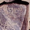 inscription of siglum Is.Mu 614