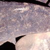 inscription of siglum Is.Mu 637