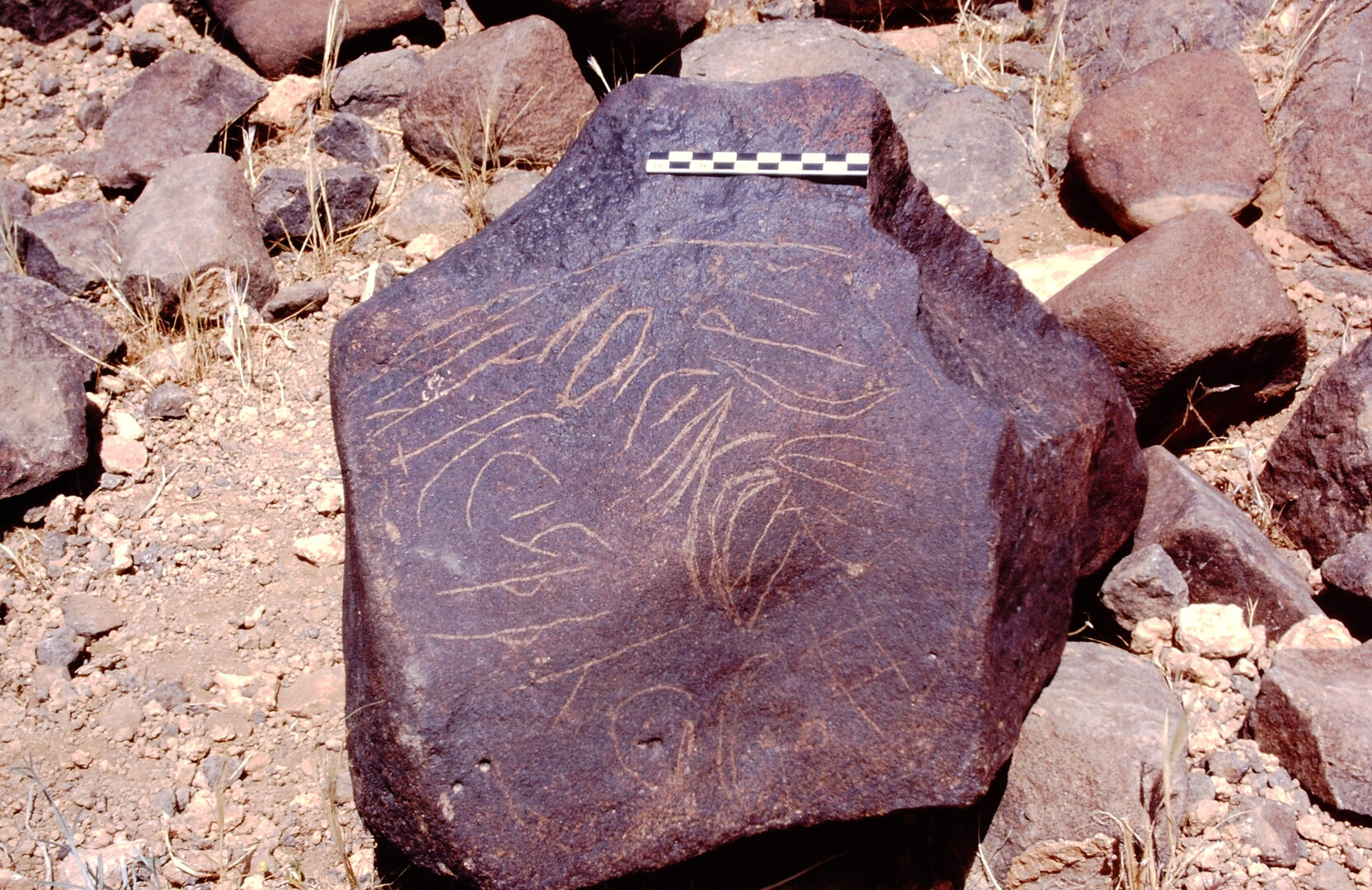 inscription of siglum Is.Mu 64