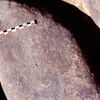 inscription of siglum Is.Mu 641