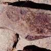 inscription of siglum Is.Mu 646