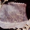 inscription of siglum Is.Mu 649