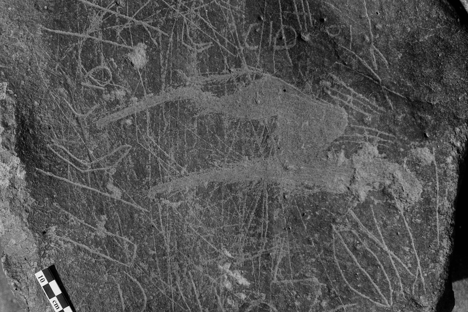 inscription of siglum Is.Mu 67