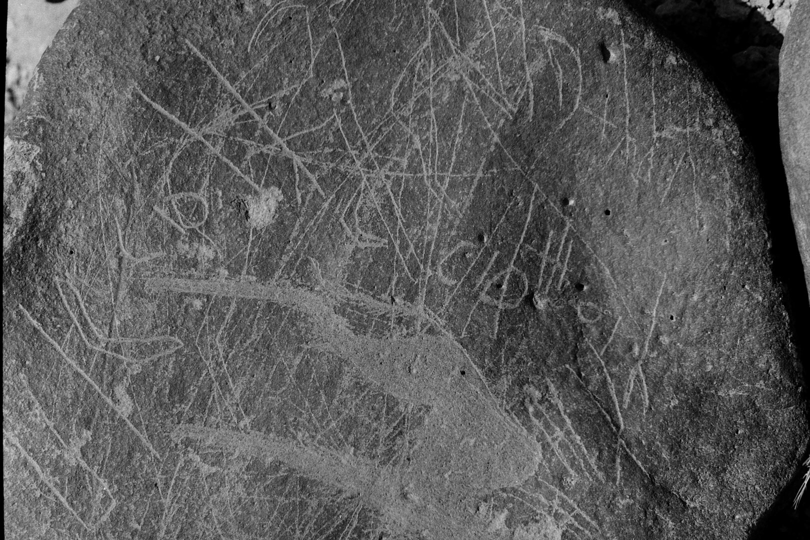inscription of siglum Is.Mu 68