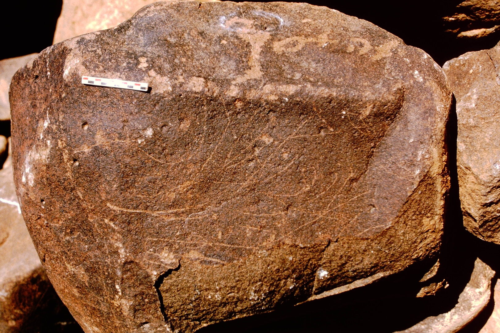 inscription of siglum Is.Mu 692