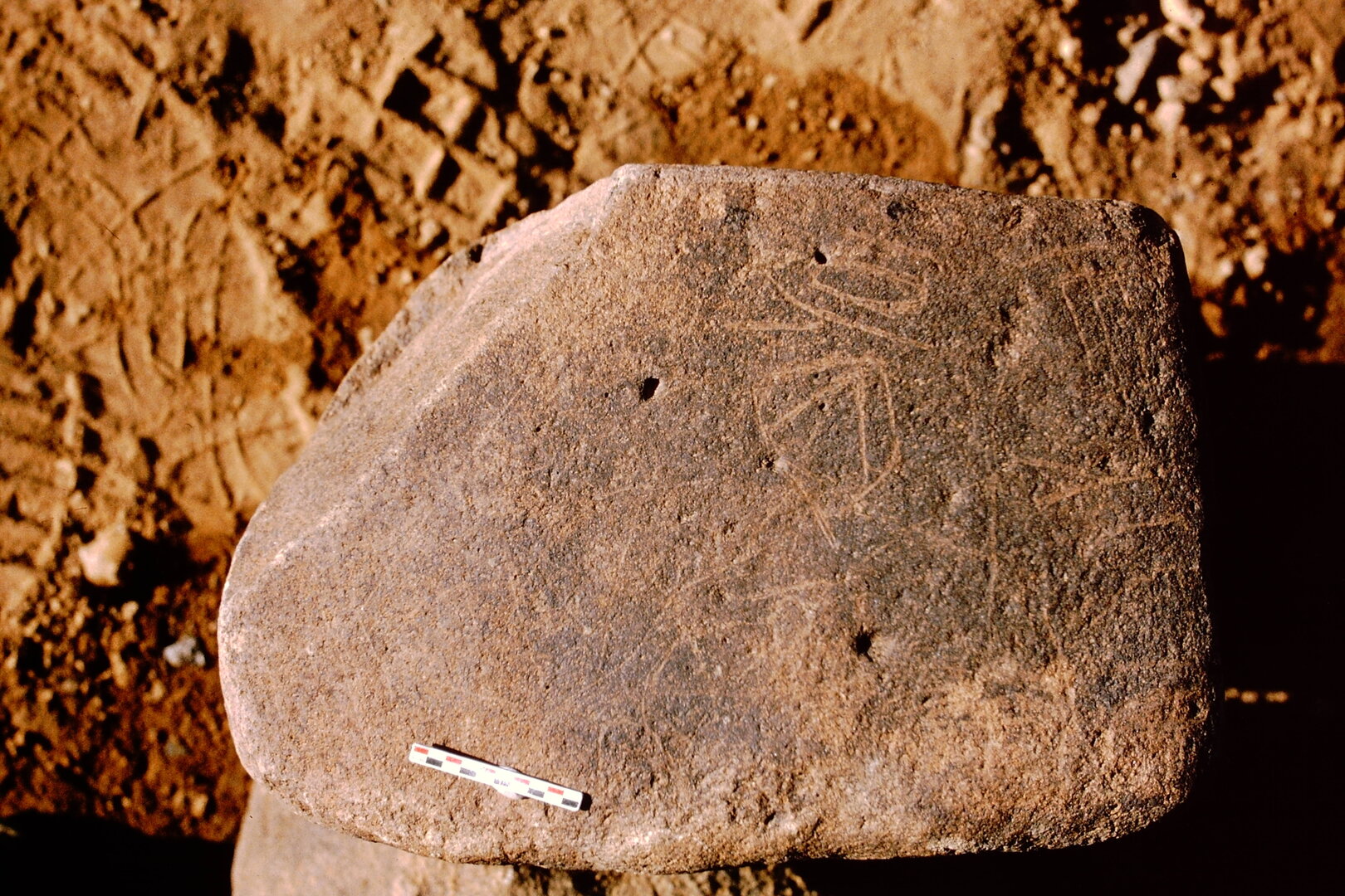 inscription of siglum Is.Mu 699
