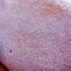 inscription of siglum Is.Mu 7