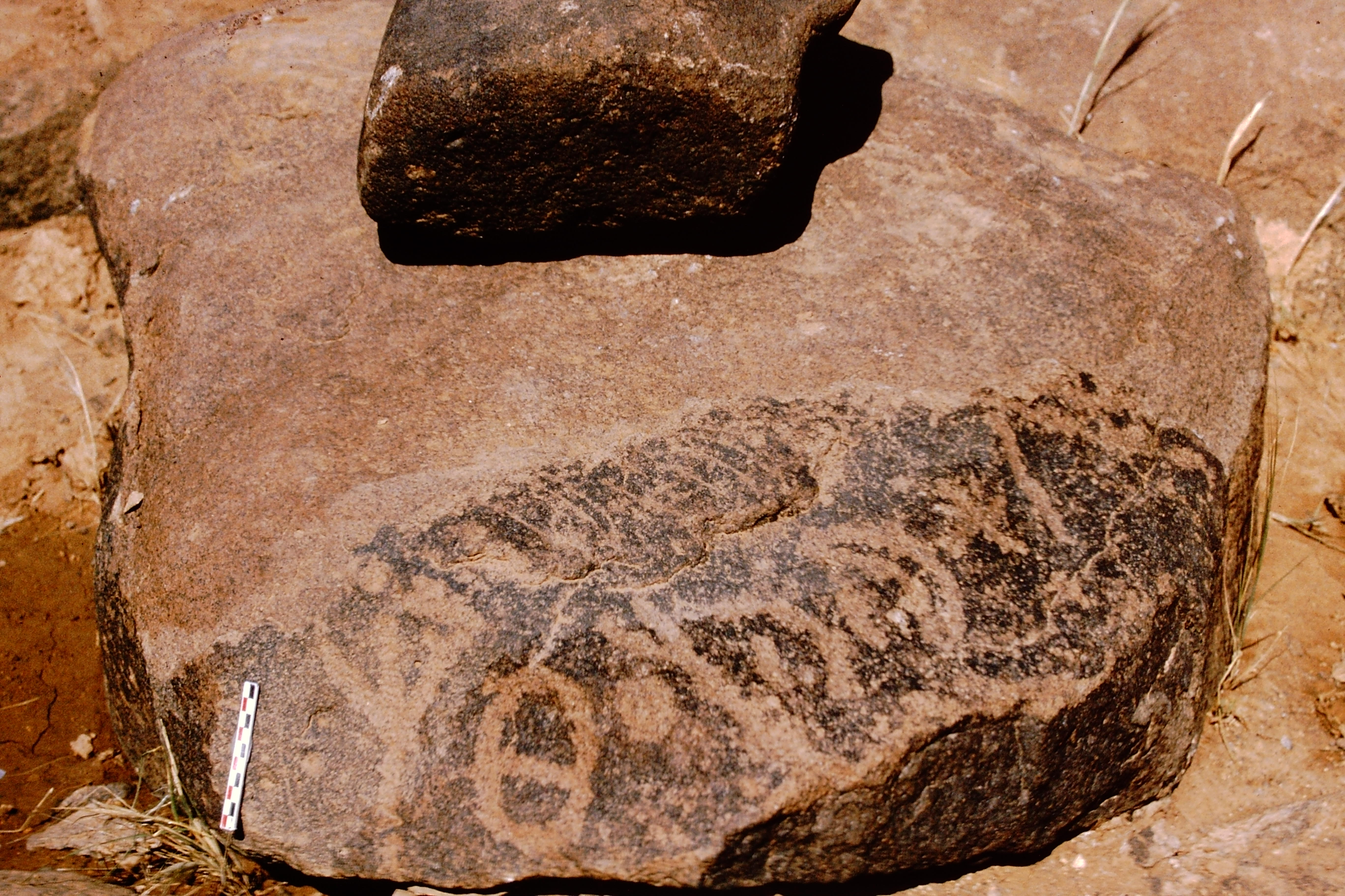 inscription of siglum Is.Mu 711