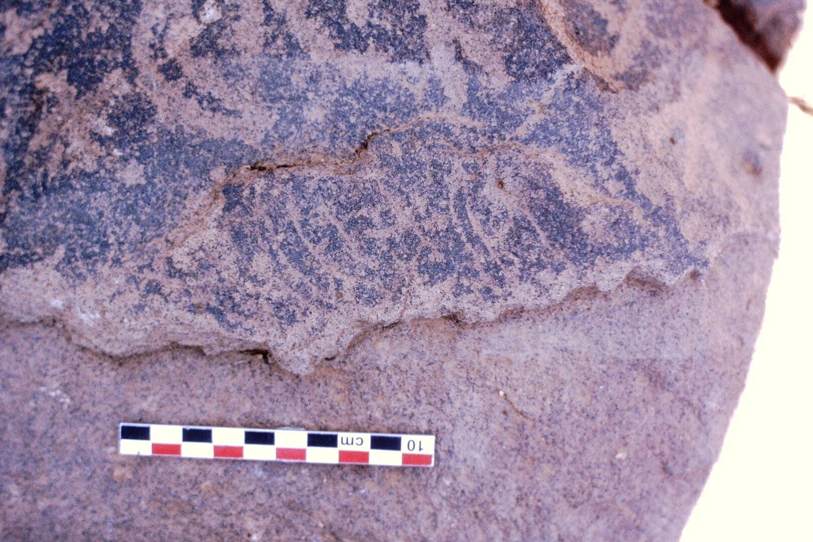 inscription of siglum Is.Mu 712