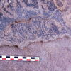 inscription of siglum Is.Mu 712