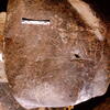 inscription of siglum Is.Mu 715