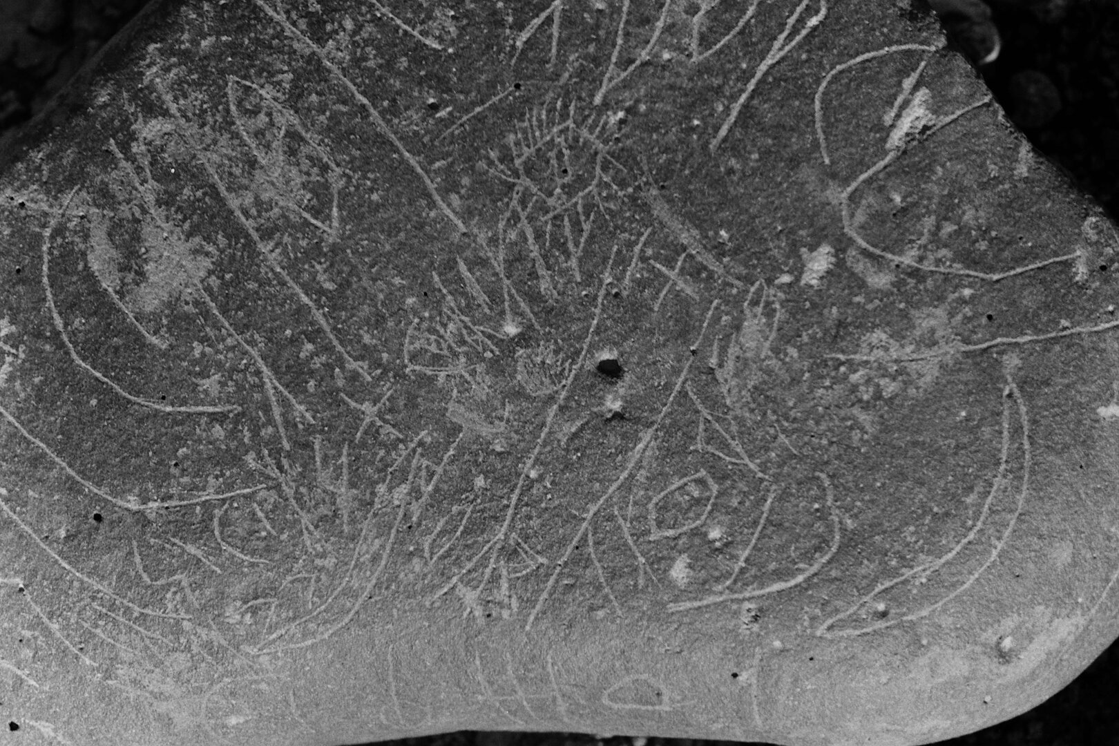 inscription of siglum Is.Mu 72