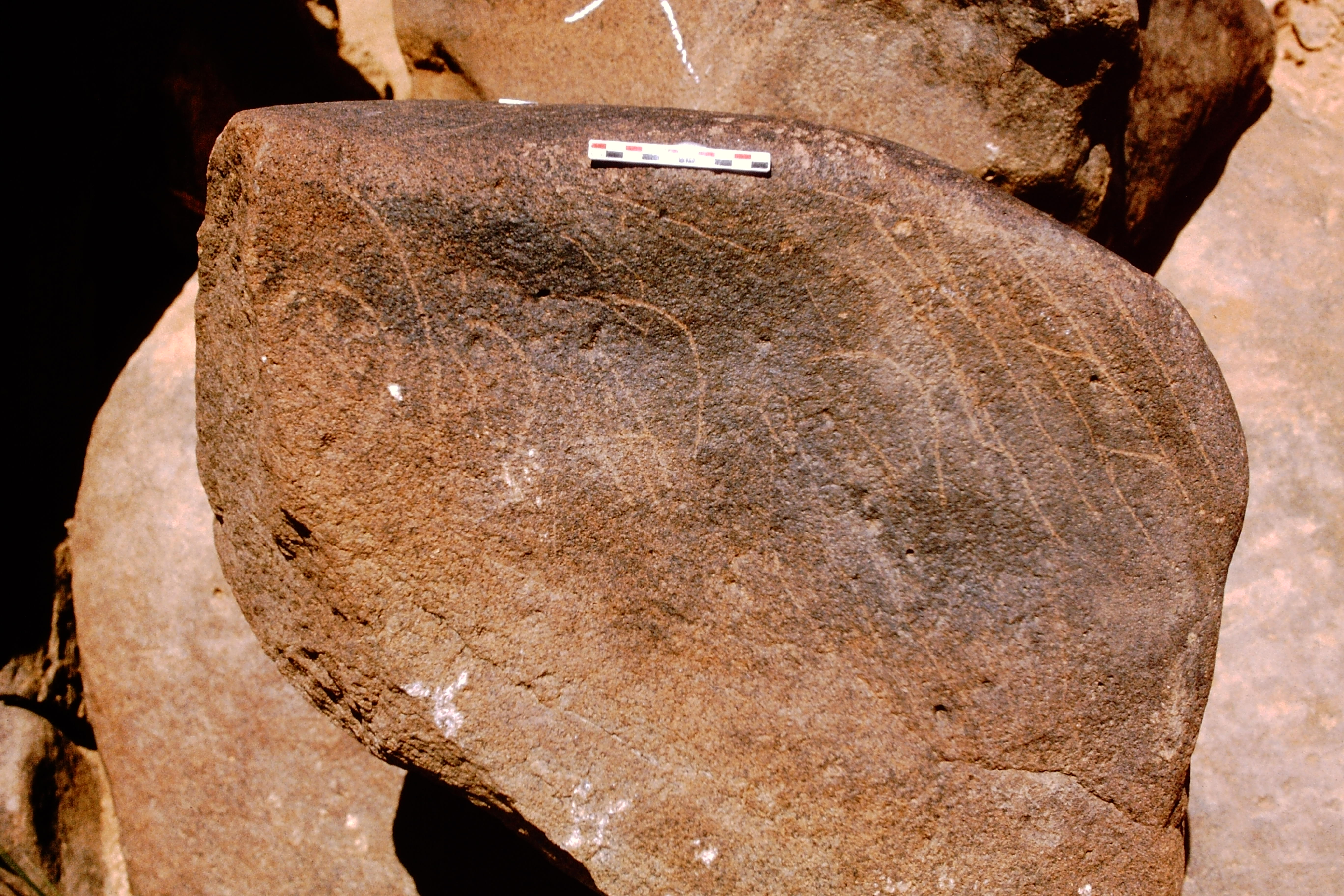 inscription of siglum Is.Mu 728
