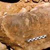 inscription of siglum Is.Mu 729
